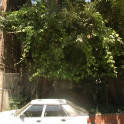 Constantinople, Column of Arcadius, pedestal (almost invisible)