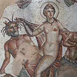 Bulla Regia, House of Amphitrite, Triumph of Venus