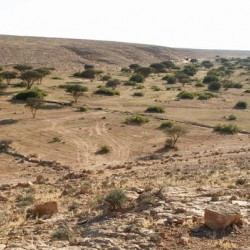 Wadi Buzra, View to the southwest from Bz 901-905