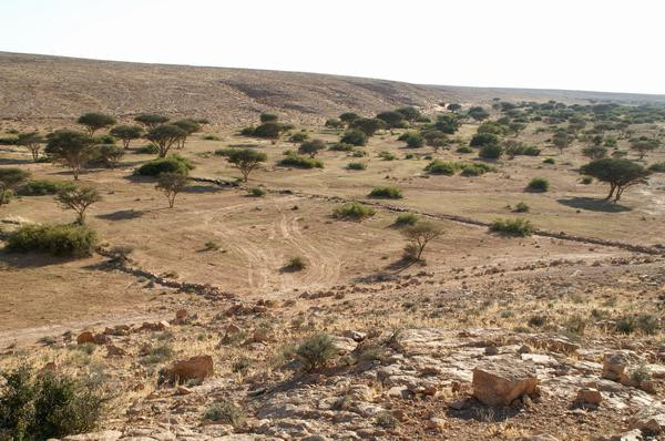 Wadi Buzra, View to the southwest from Bz 901-905