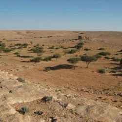 View across Wadi Buzra to Bz 906-907