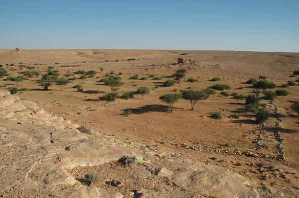 View across Wadi Buzra to Bz 906-907