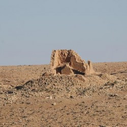 Suq al-Awty, Farm Bz 907