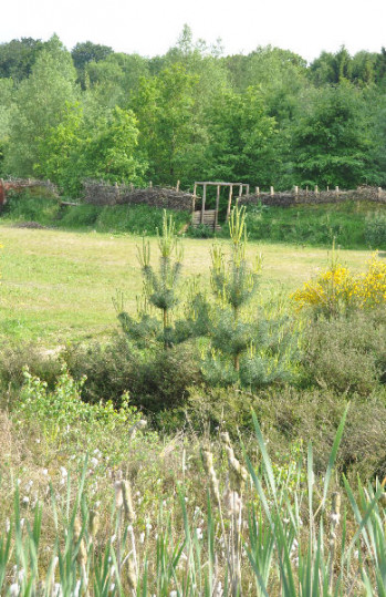 Kalkriese, Reconstruction of the battlefield