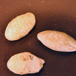 Kalkriese, Roman slingstones