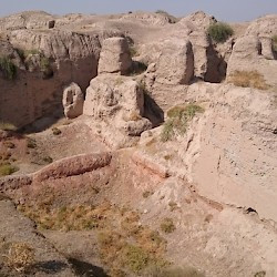 Afrosiab, Ruin of a palace