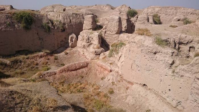 Afrosiab, Ruin of a palace