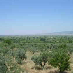 The plain of Corupedium