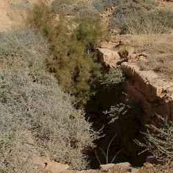 Gheriat el-Garbia, Cistern