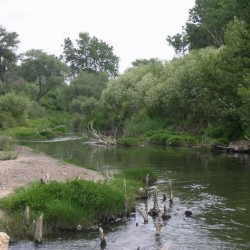 The Granicus today