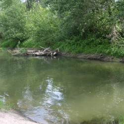 The Granicus today