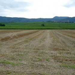 Colmar, Battlefield where Caesar met Ariovistus, View to Zellenberg (Ariovistus' camp)