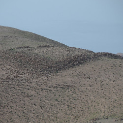 Machaerus, Roman camp H