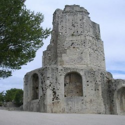 Nemausus, Tour Magne