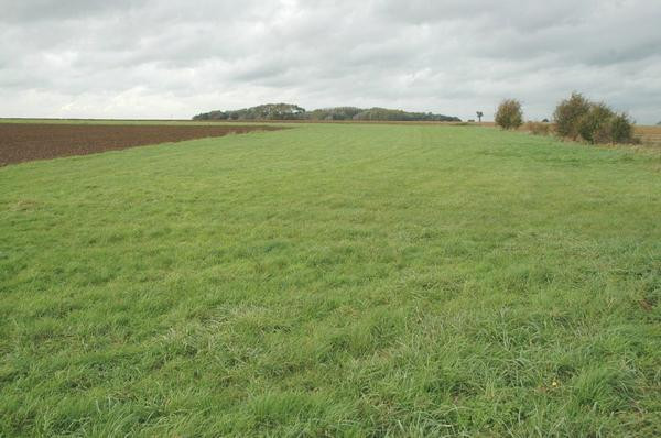 3. Battlefield of the Sabis, center, north