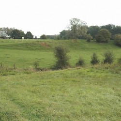 5. Campsite at the Sabis (Bois de Montrecourt)