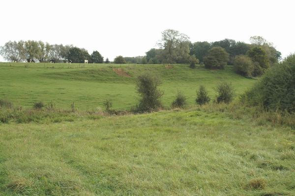 5. Campsite at the Sabis (Bois de Montrecourt)