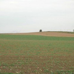 11. Battlefield of the Sabis, The high ground in the southeast