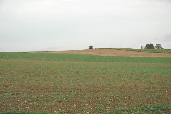 11. Battlefield of the Sabis, The high ground in the southeast