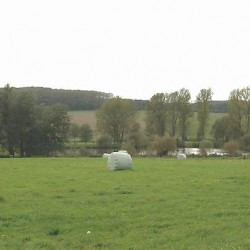 12. Battlefield of the Sabis, main theater, seen from east to west