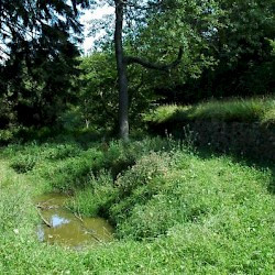 Feldberg, Northwestern wall and ditch