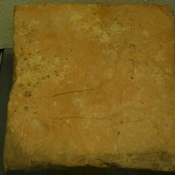 Neuss, Koelnerstrasse, Hypocaust tile decorated with a horse