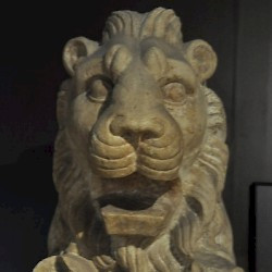 Baalbek, Temple of Jupiter, Lion