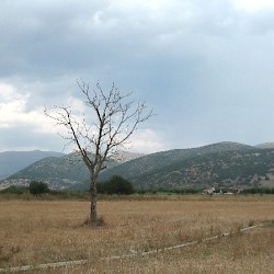 Mantineia, Battlefield