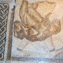 Bishapur, Palace, Mosaic of man dressed as an ostrich
