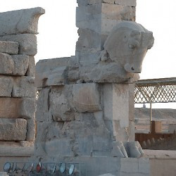 Persepolis, Hall of 100 Columns, Northwestern gate, Bull