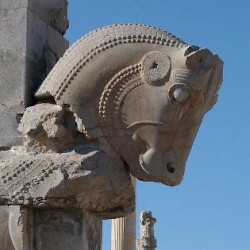 Persepolis, Hall of 100 Columns, Northwestern gate, Bull