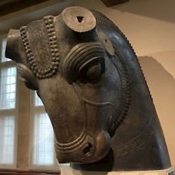 Persepolis, Hall of 100 Columns, Bull-shaped capital