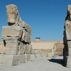 Persepolis, Unfinished Gate, Bulls