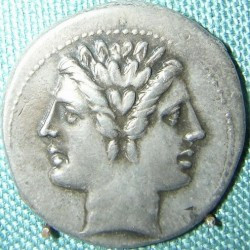 Janus (quadrigatus)