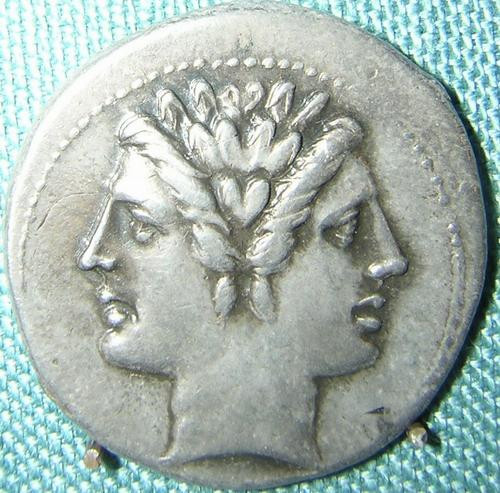 Janus (quadrigatus)