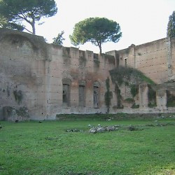 Rome, Baths of Caracalla, So-called Library