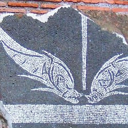 Rome, Baths of Caracalla, Aquatic mosaic