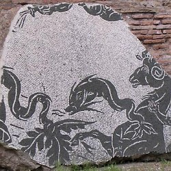 Rome, Baths of Caracalla, Aquatic mosaic