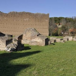 Rome, Circus of Maxentius, Starting boxes