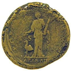 Roman coin, commemorating the annexation of Arabia Nabataea