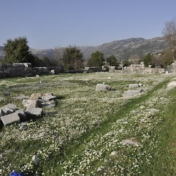 Machnaqa, Enclosure with many flowers