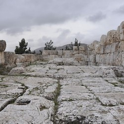 Qsarnaba, Platform