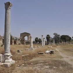 Tyre, Al-Bass, Hippodrome, Start boxes