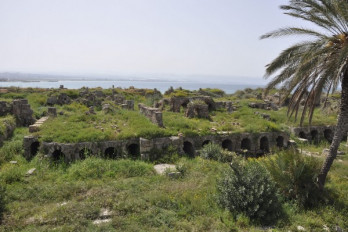 Tyre, City, Baths (from NW)