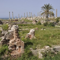 Tyre, City, Baths from the southeast