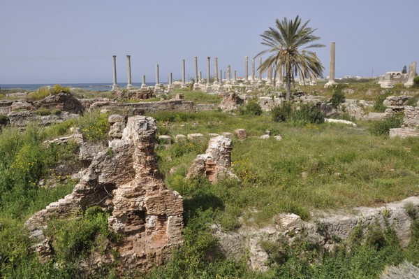 Tyre, City, Baths from the southeast
