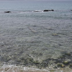 Tyre, City, Egyptian harbor, mole