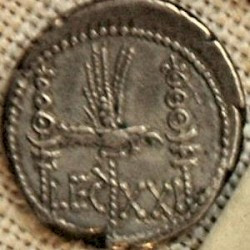 Coin of XXI Rapax