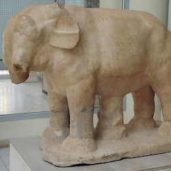 Lepcis Magna, Cardo, elephant