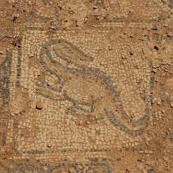 Taucheira, Palace Church, mosaic, lizard